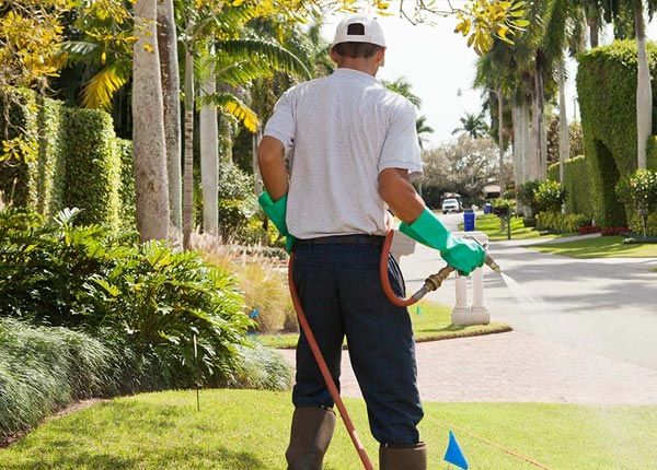 About Heber AZ Pest Control